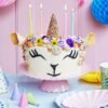 Rainbow Unicorn Fantasy Cake